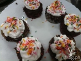 How to cook Christmas cupcakes and chicken mac using your Smart Oven