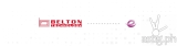 Epsilon Transforms Legacy MPLS to SD-WAN Across the Asia Pacific for Belton Technology Group