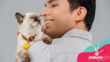 Maxime cat food now available online