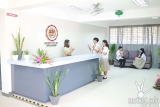  A school renovation project amplifies the potential of deaf community    