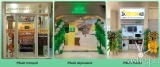 Moneybees, Psulit Money Changer bolster OTC crypto trading, open third hub in Molito, Alabang