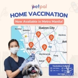 PetPal launches home vaccination service for Metro Manila fur babies