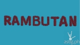 RAMBUTAN wins grand prize at 18th Piling Obrang Vidyo competition