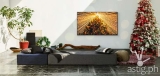 Sony BRAVIA XR A80J priced, now available in PH