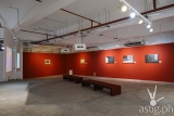 CCP’s TIG Gallery’s The White Elephant Project on view until August 13