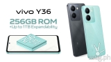 vivo Y36: Which of these 4 match your phone usage style? [guide]