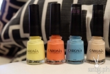 Caronia Popsicle Collection Launched