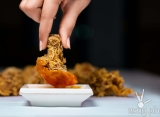 Packworks study reveals Philippines is a Fried-food nation this holiday season