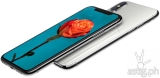 iPhone X revealed: specs, price, camera, and release date