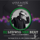 DJ Ludwig van Beat Halloween party at Wolf & Fox