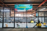 Araneta City nurtures stray cat welfare through “CoMEOWnity”