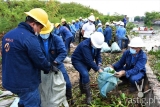 Meralco employee-volunteers to clear the overgrown water hyacinths found along a portion of Pasig River near Isla de Provisor in Manila