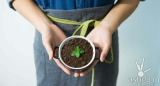 Choosing a sustainable kitchen fuel like Solane is one small step towards minimizing our impact on our planet