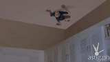 Mega Tuna’s “lizard” commercial is the craziest thing we’ve seen this week