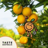 Go healthy, go Aussie: Navel Oranges are back in season