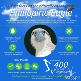 Pamana set free on Independence Day