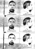 Quezon City Court order arrest of HDI Admix Inc. Executive Darmo N. Castillo and others