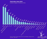 Nielsen reports for a Year in Review: Sports Consumption Evolution
